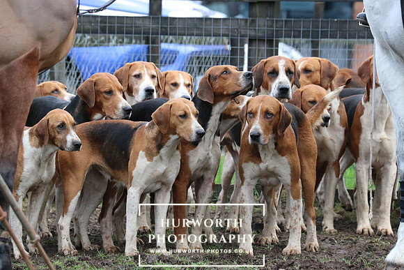 Hurworth Hunt 220