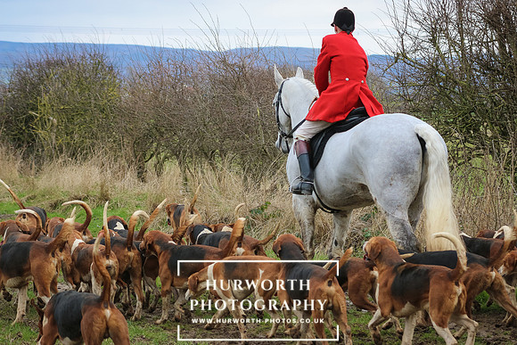 Hurworth Hunt 361