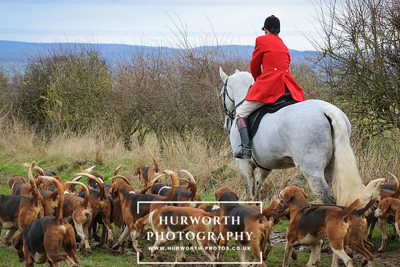 Hurworth Hunt 362