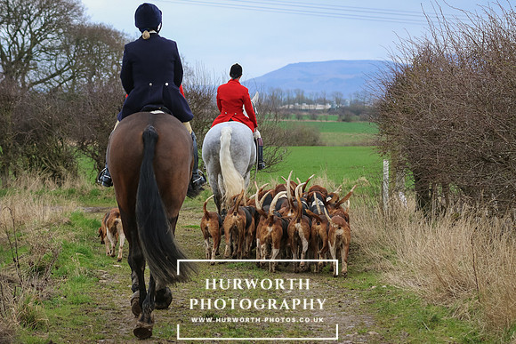 Hurworth Hunt 363