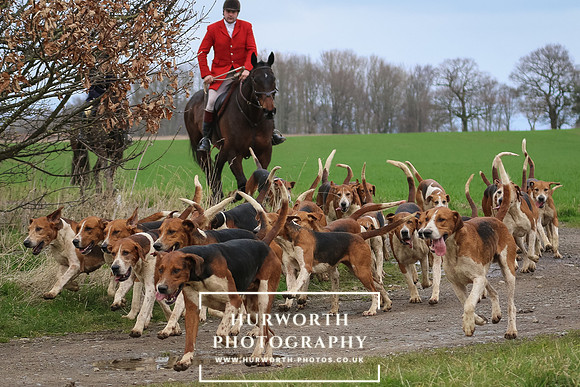 Hurworth Hunt 367