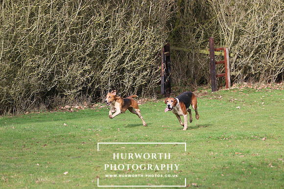 Hurworth Hunt 436