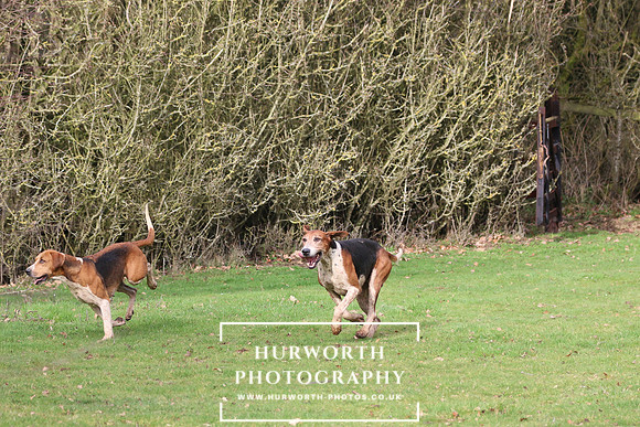 Hurworth Hunt 438