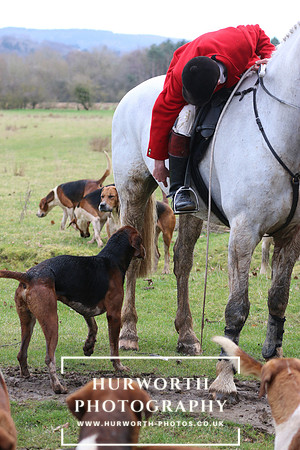 Hurworth Hunt 459