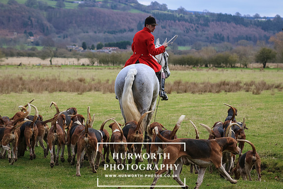 Hurworth Hunt 466