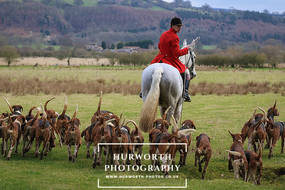 Hurworth Hunt 467