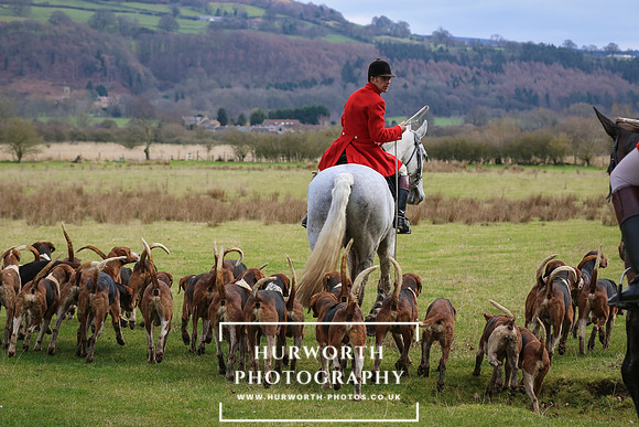 Hurworth Hunt 468