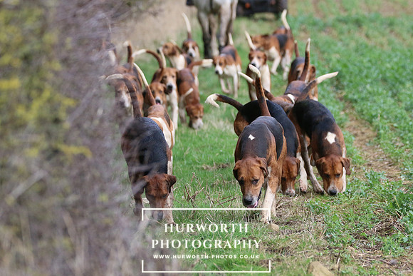 Hurworth Hunt 470