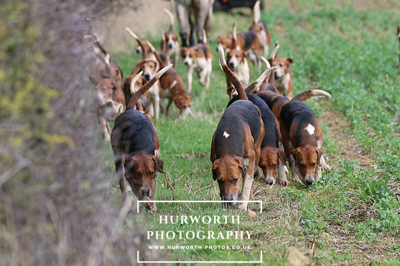 Hurworth Hunt 471