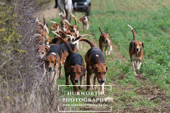 Hurworth Hunt 474