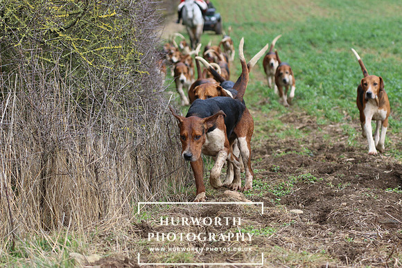 Hurworth Hunt 476