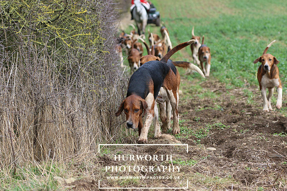 Hurworth Hunt 477