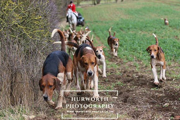 Hurworth Hunt 478