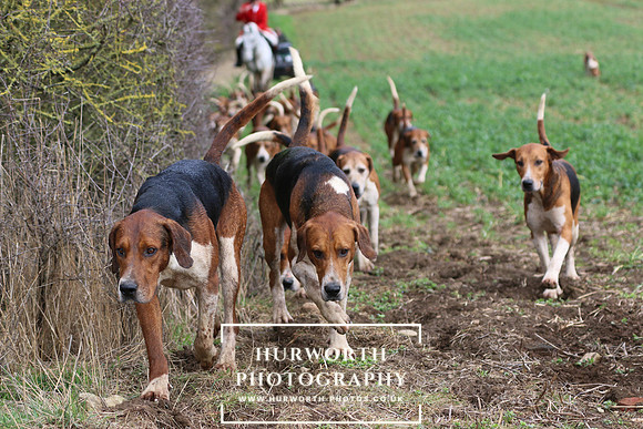 Hurworth Hunt 479