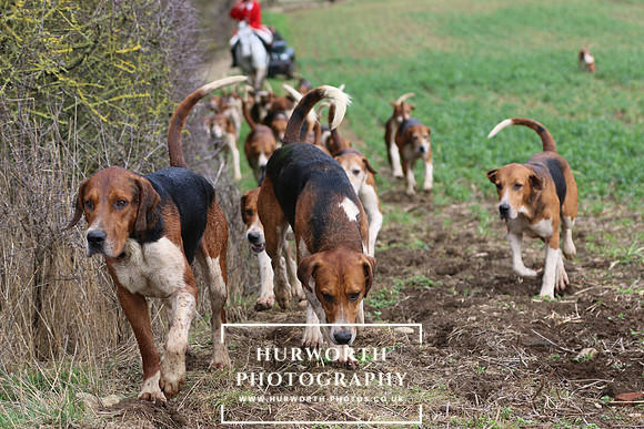 Hurworth Hunt 480