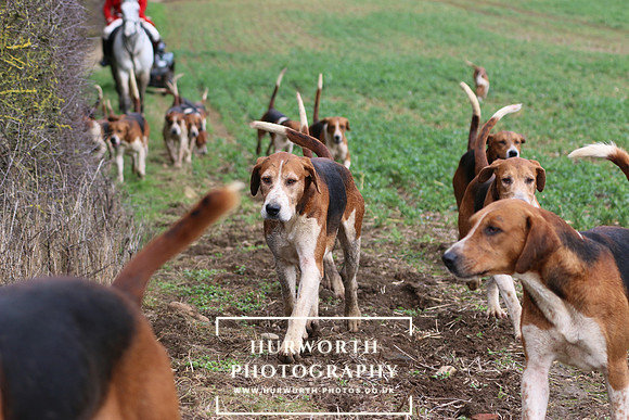 Hurworth Hunt 481