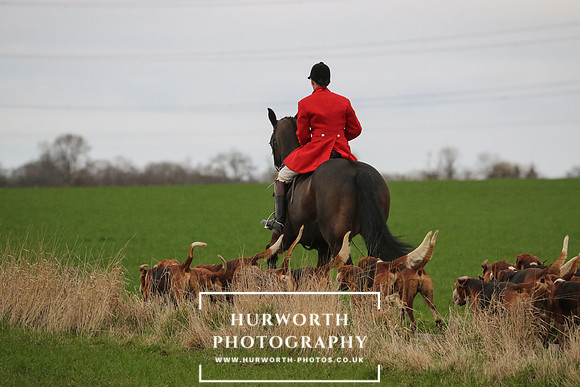 Hurworth Hunt 599