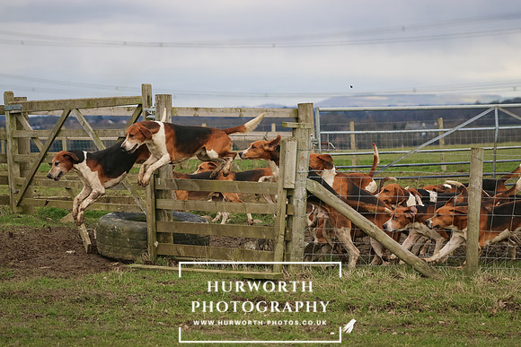 Hurworth Hunt 506