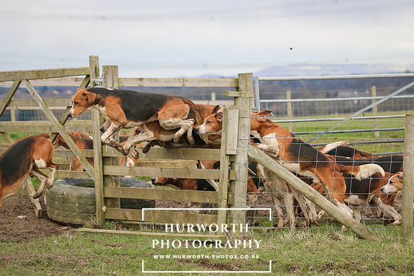 Hurworth Hunt 507