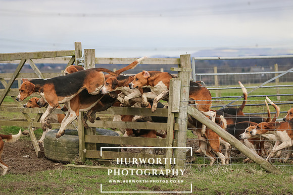 Hurworth Hunt 508