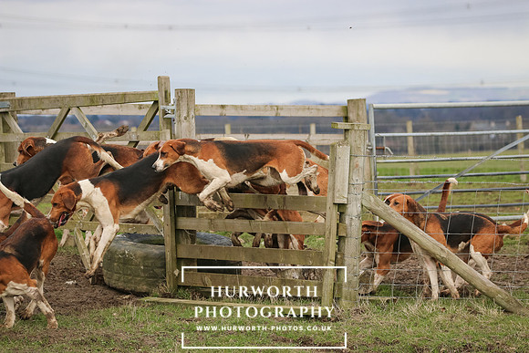 Hurworth Hunt 510