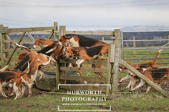 Hurworth Hunt 511