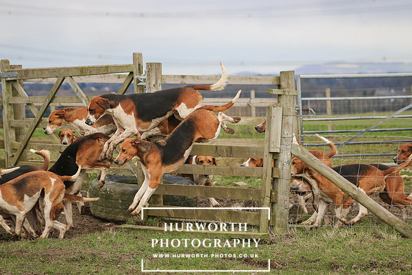 Hurworth Hunt 512