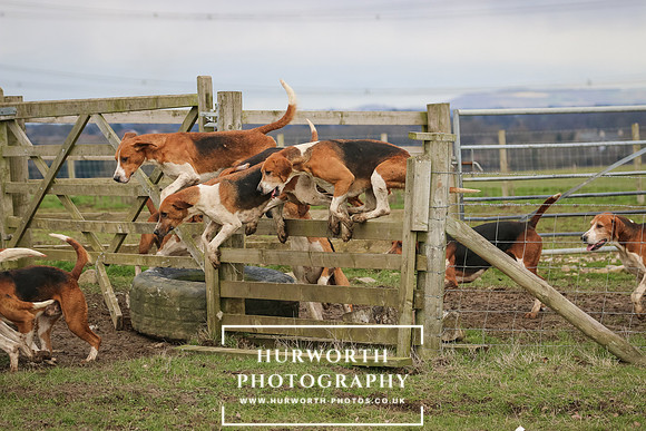 Hurworth Hunt 515