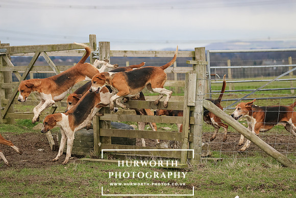 Hurworth Hunt 516