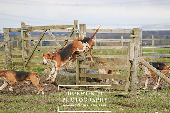 Hurworth Hunt 520