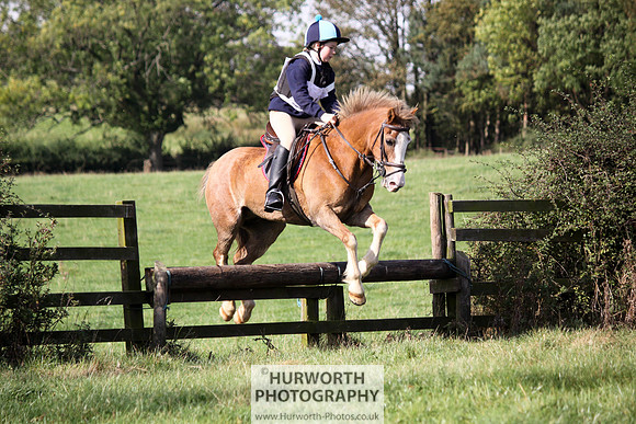 Hurworth Bilsdale Hedge Hop 325
