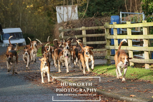 Hurworth Hunt  168