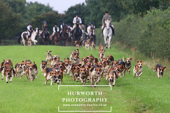 Hurworth Hunt 419