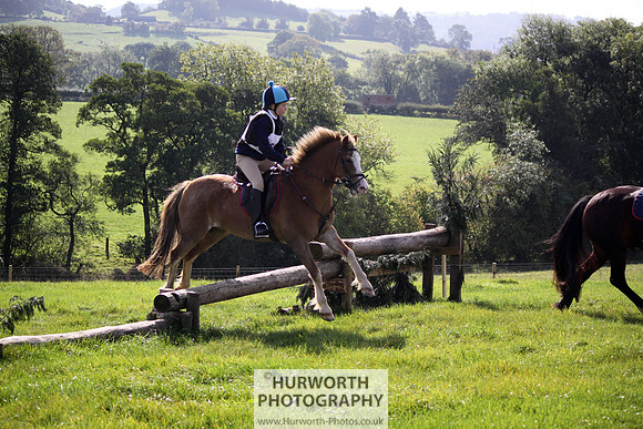 Hurworth Bilsdale Hedge Hop 292