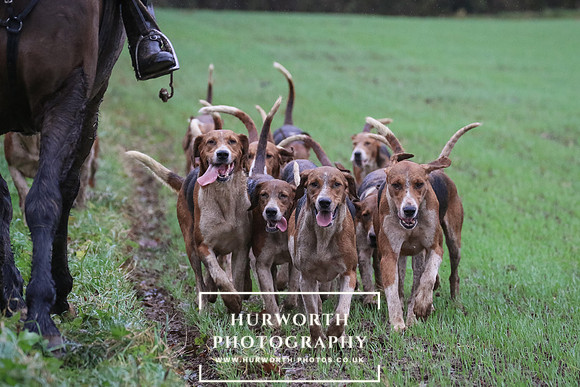 Hurworth Hunt  246
