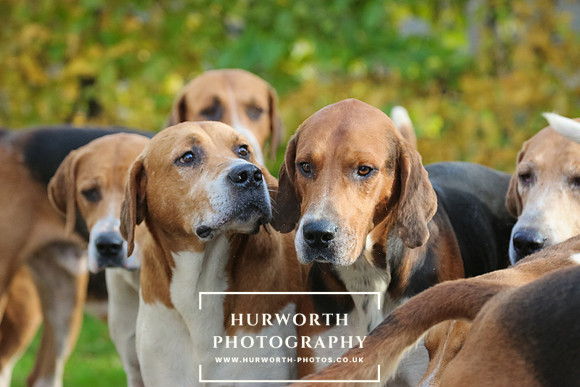 Hurworth Hunt  122