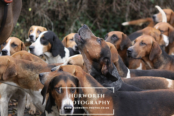 Hurworth Hunt 047