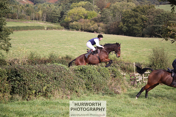 Hurworth Bilsdale Hedge Hop 661