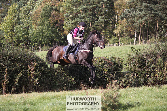 Hurworth Bilsdale Hedge Hop 539