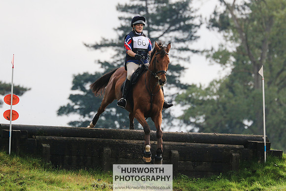 Hurworth Hunter Trial 250