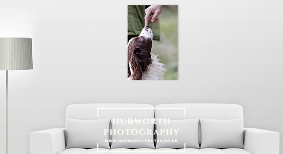 Portrait 50.8cm x 76.2cm Canvas Print
