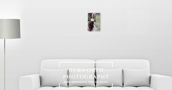 Portrait 20.3cm x 30.5cm  Canvas Print