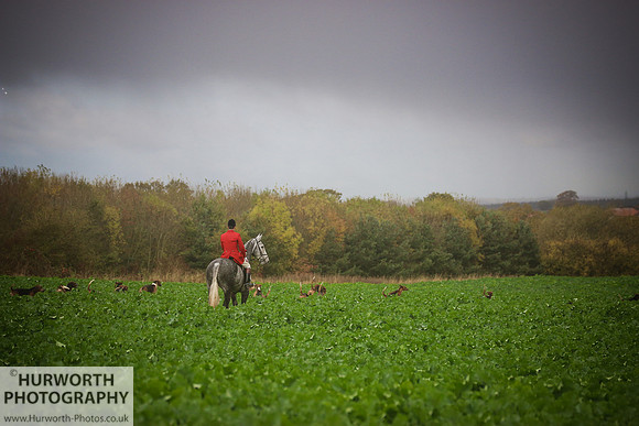 Hurworth Hunt 372
