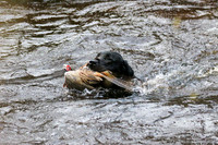 Water retieve