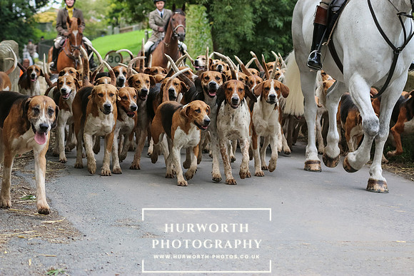 Hurworth Hunt 46