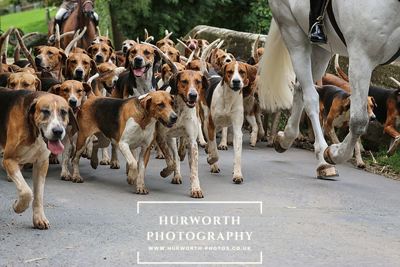 Hurworth Hunt 49