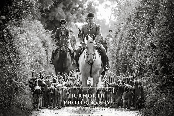 Hurworth Hunt 15
