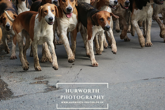 Hurworth Hunt 34