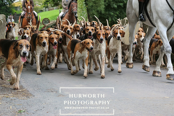 Hurworth Hunt 47