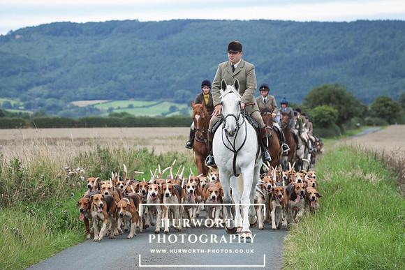 Hurworth Hunt 286